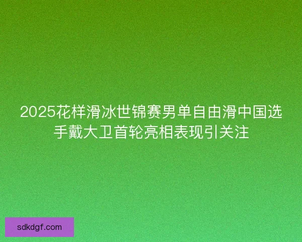 2025花样滑冰世锦赛男单自由滑中国选手戴大卫首轮亮相表现引关注 2025花样滑冰世锦赛男单自由滑中国选手戴大卫首轮亮相表现引关注