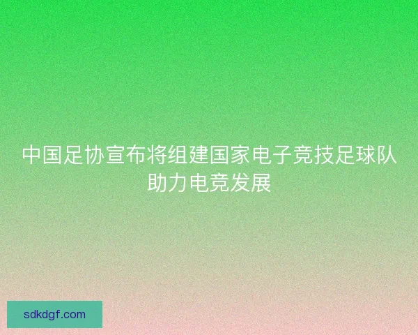 中国足协宣布将组建国家电子竞技足球队助力电竞发展